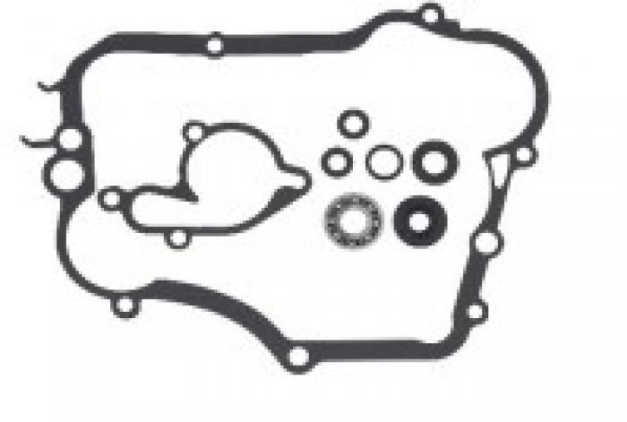 Load image into Gallery viewer, Psychic Water Pump Repair Kit MX-10261