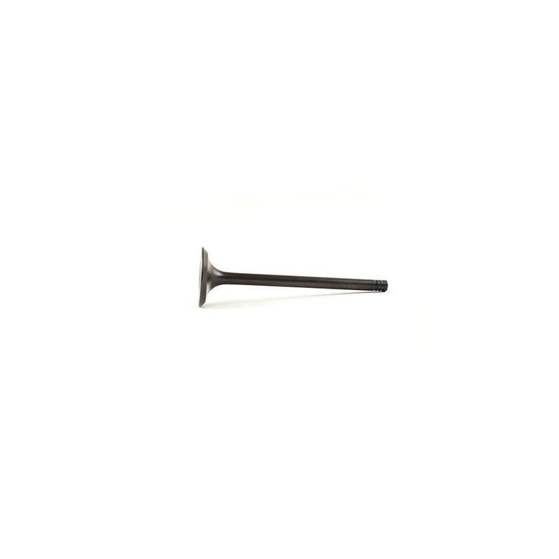 Load image into Gallery viewer, WSM Intake Valve for Yamaha 75 - 115 Hp 4-Stroke 99-11 120-190