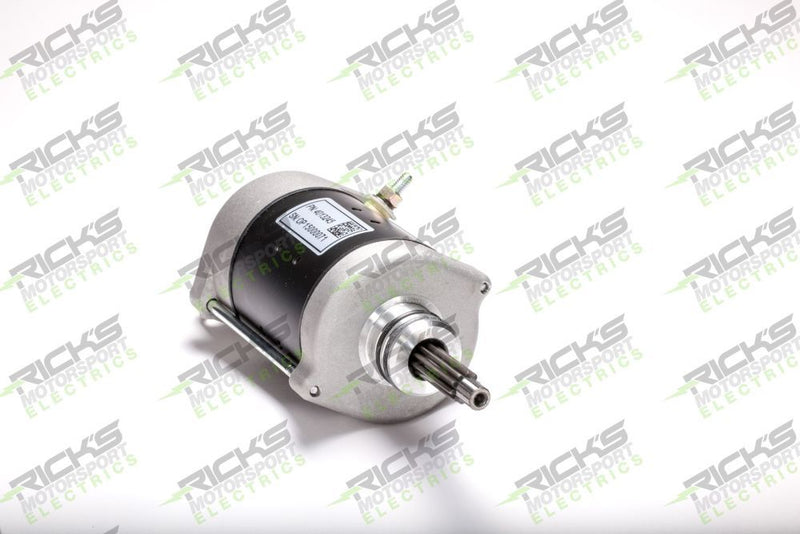 Load image into Gallery viewer, Ricks Starter Motor 61-521