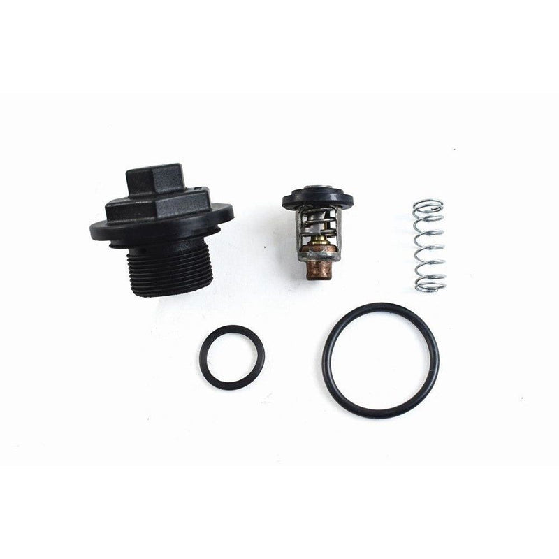 Load image into Gallery viewer, WSM Thermostat Kit for Johnson / Evinrude 200 - 300 Hp E-Tec / FFI 780-170