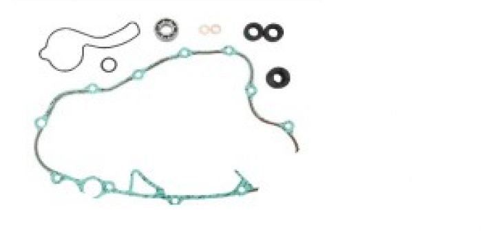 Load image into Gallery viewer, Psychic Water Pump Repair Kit MX-10267