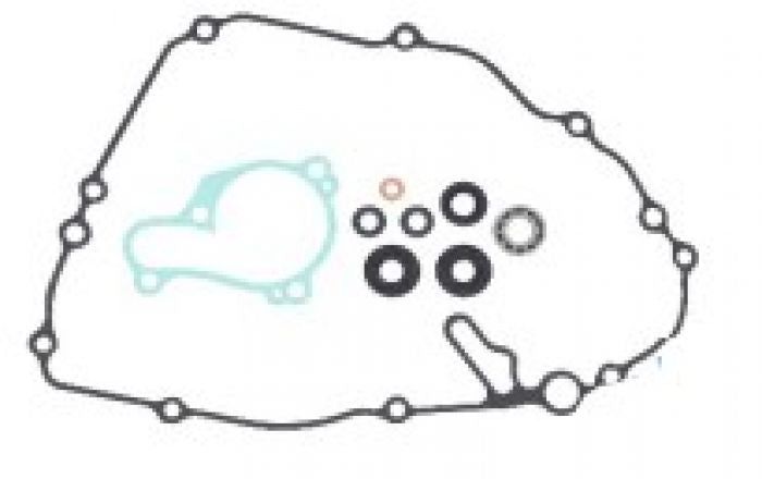 Load image into Gallery viewer, Psychic Water Pump Repair Kit MX-10262