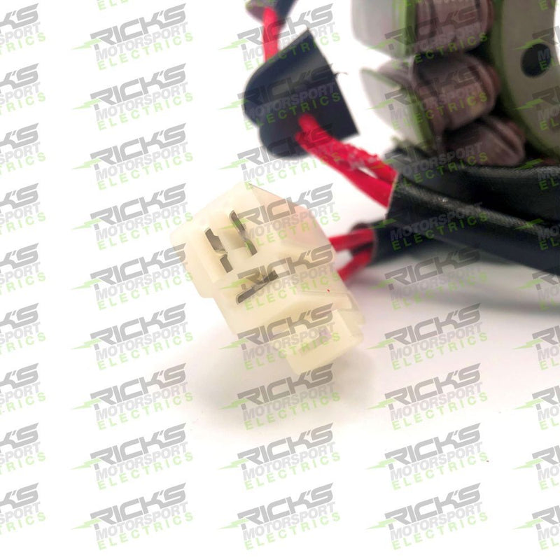 Load image into Gallery viewer, Ricks Stator For Ducati 748 Biposto 2000 21-035