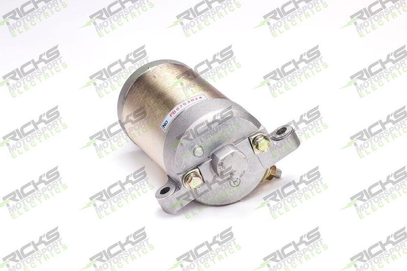 Load image into Gallery viewer, Ricks Starter Motor 61-203