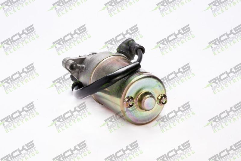 Load image into Gallery viewer, Ricks Starter Motor 61-403