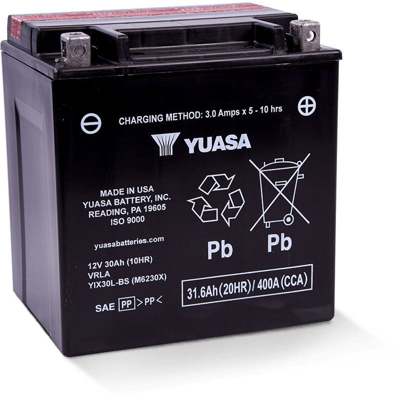 Load image into Gallery viewer, Yuasa Maintenance Free YIX30LBS 12 Volt Battery YUAM6230X