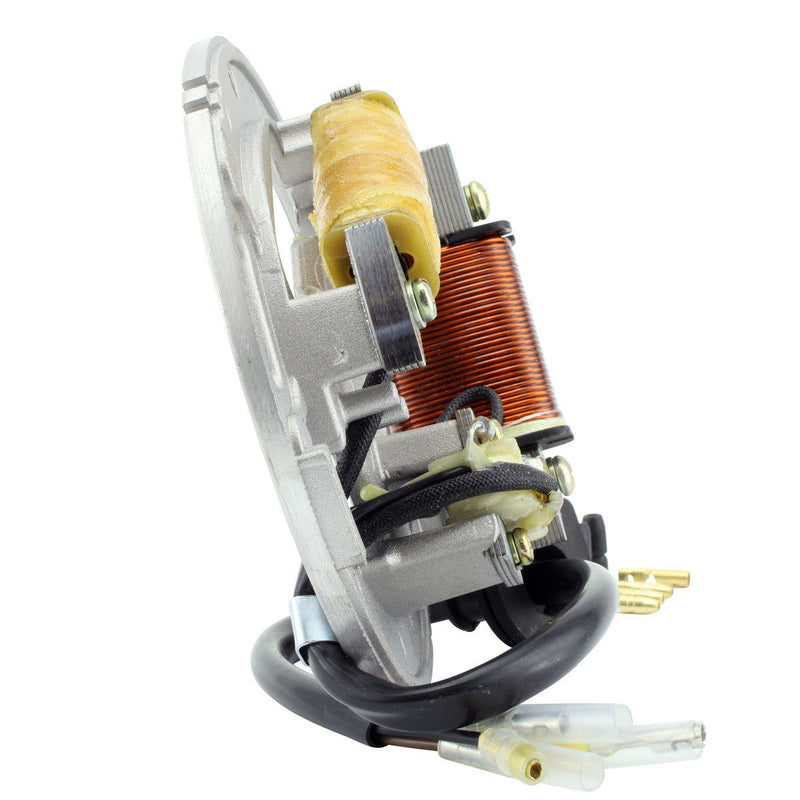 Load image into Gallery viewer, RMStator Stator RM01130