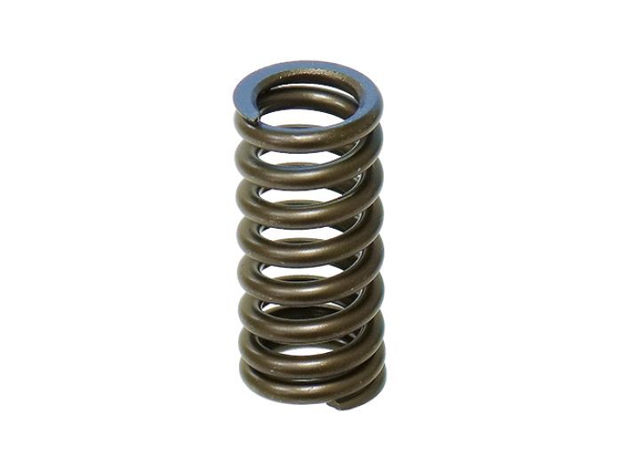 Load image into Gallery viewer, Intake Valve Spring XU-09532-1IS