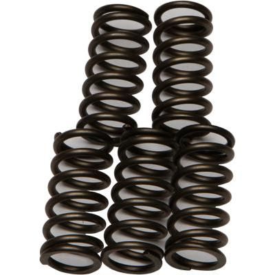 Load image into Gallery viewer, EBC CSK Series Heavy Duty Clutch Spring Kit for Honda CRF 250R 2004-2007