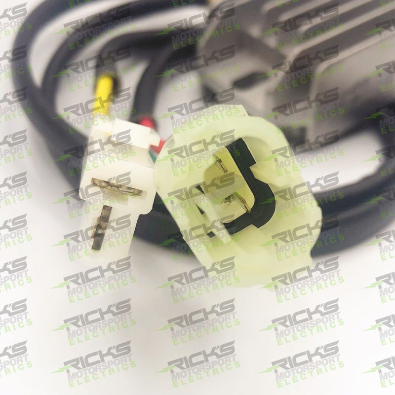 Load image into Gallery viewer, Ricks Rectifier-Regulator 10-S120