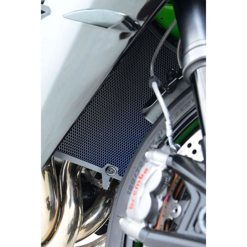 Load image into Gallery viewer, R&G Racing Titanium Radiator Guard For 2009-2014 BMW HP4 ABS
