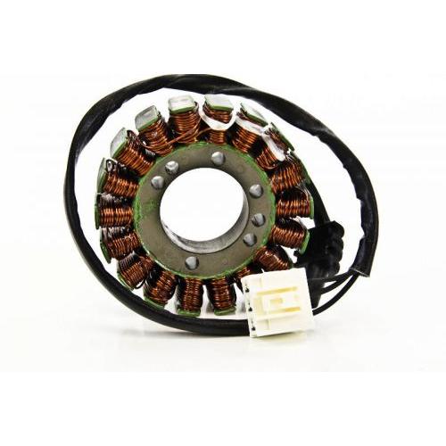 Load image into Gallery viewer, Stator for Yamaha FZS1000 FZ-1 2001-2005 Ricks