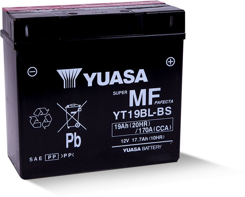 Load image into Gallery viewer, Yuasa Maintenance Free YT19BLBS 12 Volt Battery YUAM6219BL