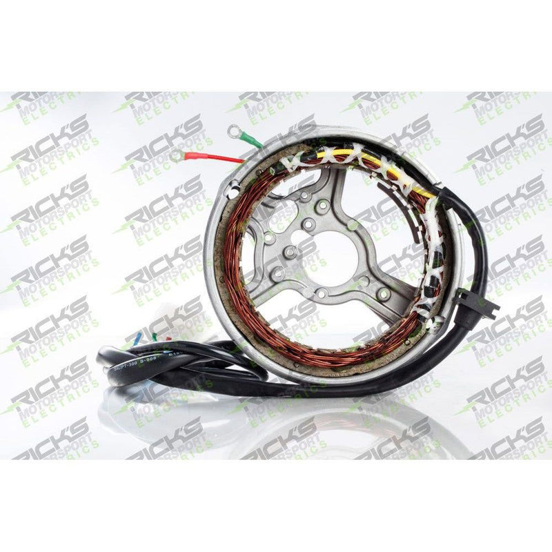Load image into Gallery viewer, Ricks Stator 21-416