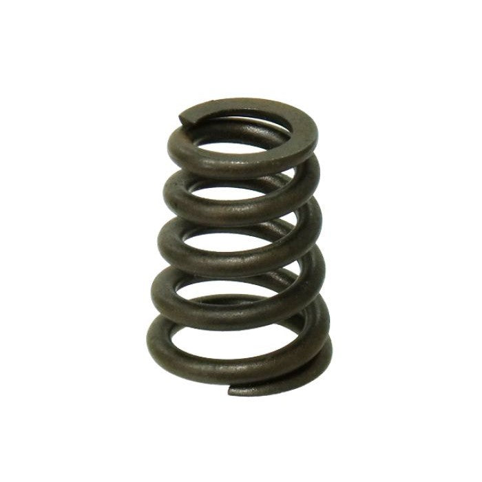 Load image into Gallery viewer, Exhaust/Intake Valve Spring XU-09549S