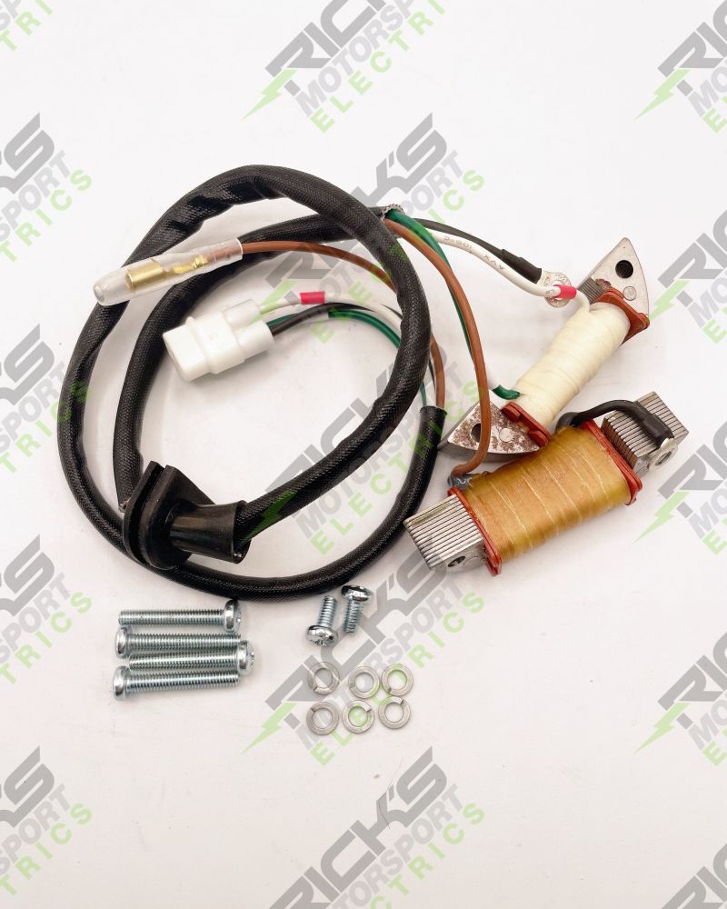 Load image into Gallery viewer, Ricks Stator Rebuild Kit For Yamaha YZ80 1997-2001 22-905