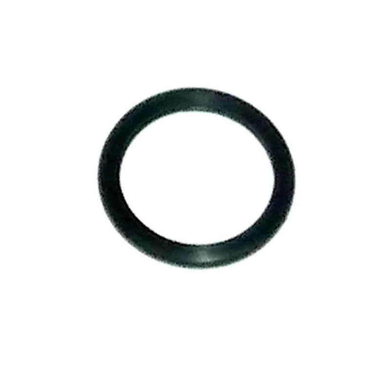 Load image into Gallery viewer, WSM Thermostat O-Ring For Johnson / Evinrude 200 - 300 Hp E-Tec / FICHT 99-14