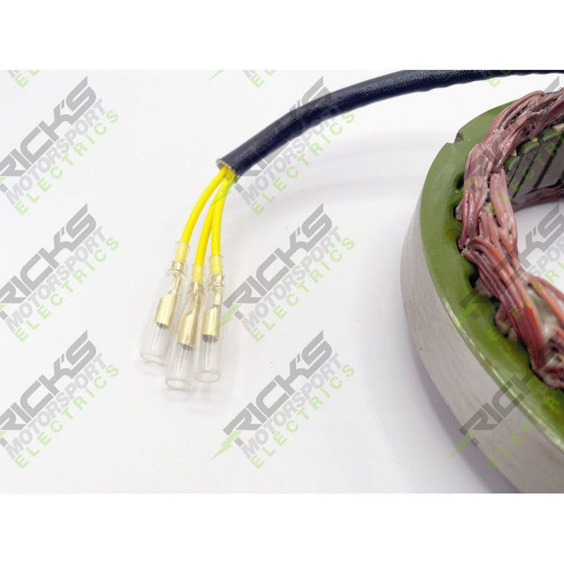 Load image into Gallery viewer, Ricks Stator 21-171