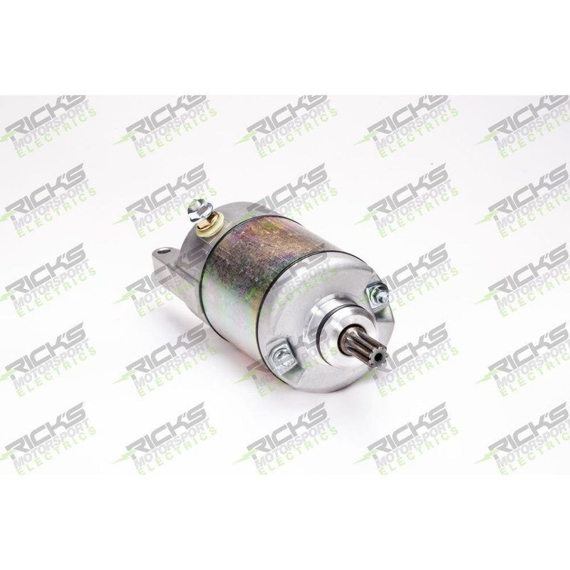 Load image into Gallery viewer, Ricks Starter Motor 61-204