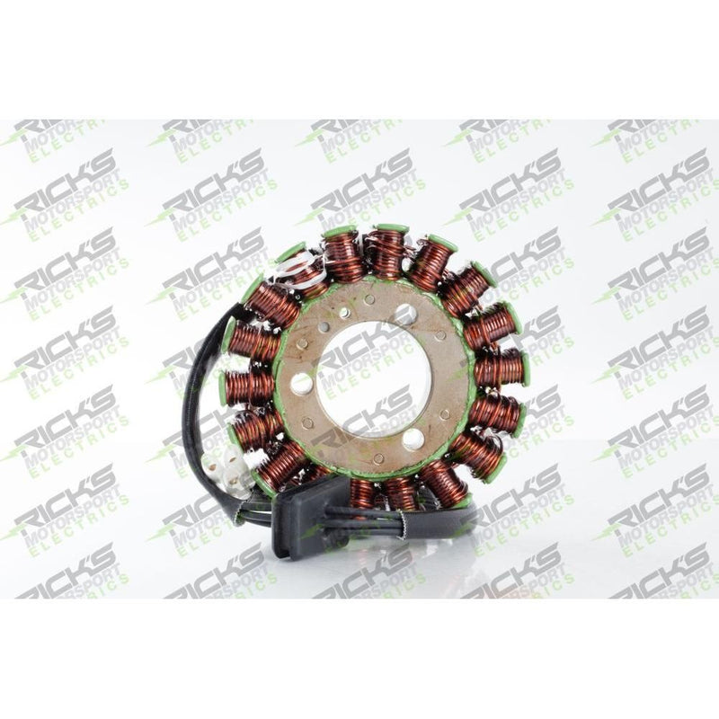 Load image into Gallery viewer, Ricks Stator 21-202