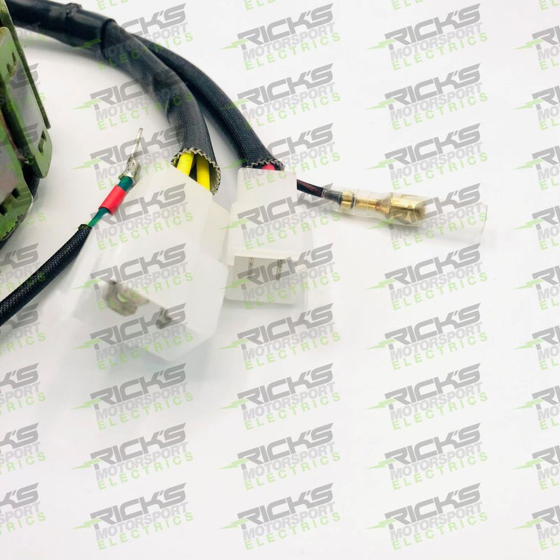 Load image into Gallery viewer, Ricks Stator For Honda Tourist Trophy 500 GB500 49 State 1989-1990 21-164