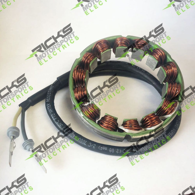 Load image into Gallery viewer, Ricks Stator For Ducati SuperSport 900 1997 21-039