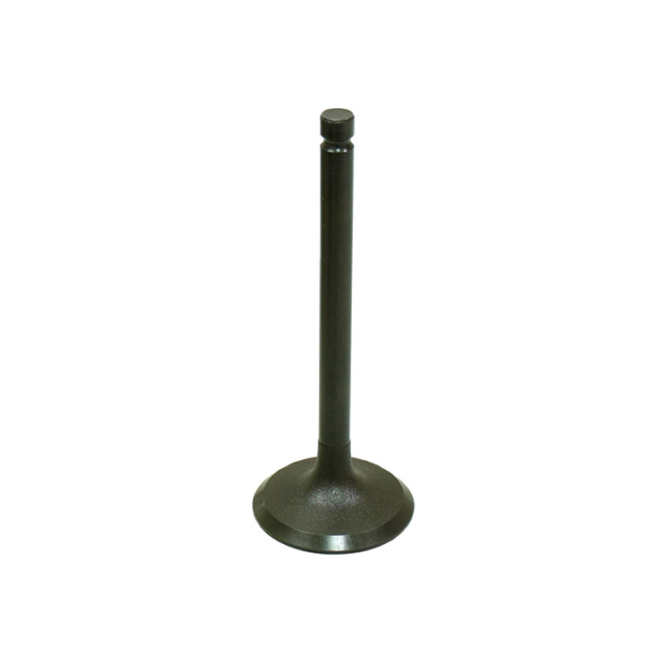 Load image into Gallery viewer, Bronco Intake Valve For YAMAHA YFM600 GRIZZLY 1998-2001