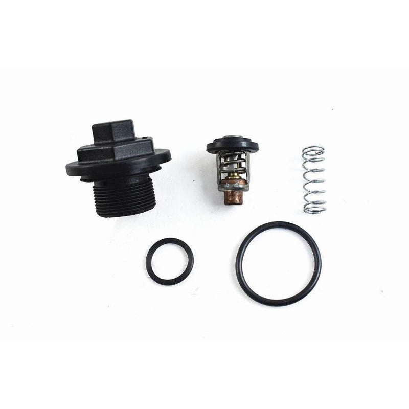 Load image into Gallery viewer, WSM Thermostat Kit for Johnson / Evinrude 200 - 300 Hp E-Tec / FFI 780-170