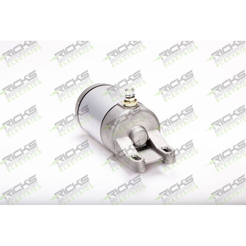 Load image into Gallery viewer, Ricks Starter Motor 61-217