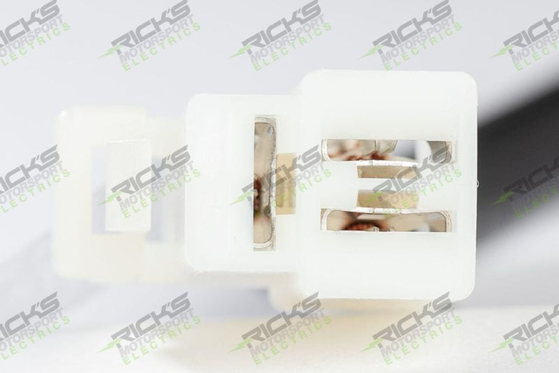 Load image into Gallery viewer, Ricks Stator 21-338