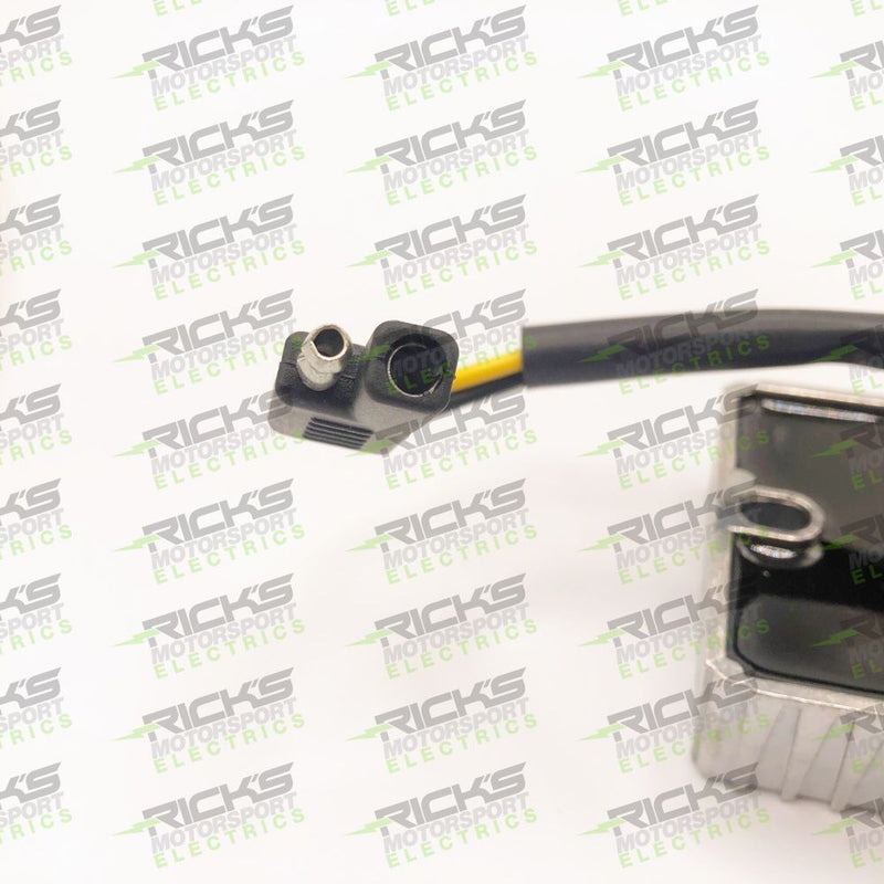 Load image into Gallery viewer, Ricks Rectifier-Regulator 10-S129