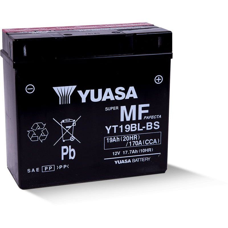 Load image into Gallery viewer, Yuasa Maintenance Free YT19BLBS 12 Volt Battery YUAM6219BL