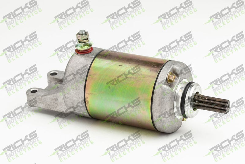 Load image into Gallery viewer, Ricks Starter Motor 61-316