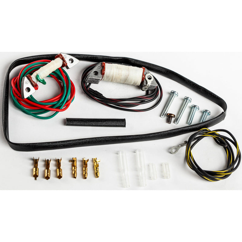 Load image into Gallery viewer, Ricks Stator Rebuild Kit For Kawasaki KX80 Big Wheel 1981-1989 22-704