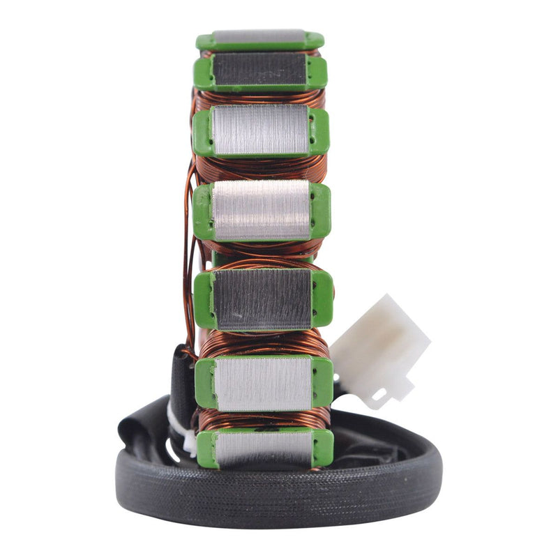 Load image into Gallery viewer, RMStator Stator For 2002-2006 Triumph Daytona 955i RM01395