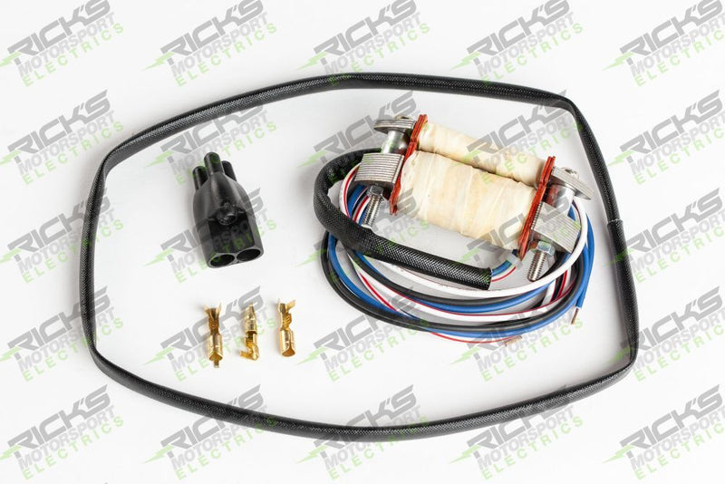 Load image into Gallery viewer, Ricks Stator Rebuild Kit For Kawasaki KX80 Big Wheel 1979-1980 22-706