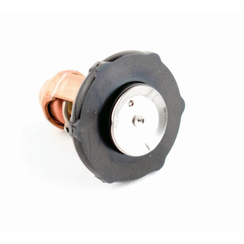 Load image into Gallery viewer, WSM Thermostat for Yamaha 115 Hp 4-Stroke 14-Up 775-245