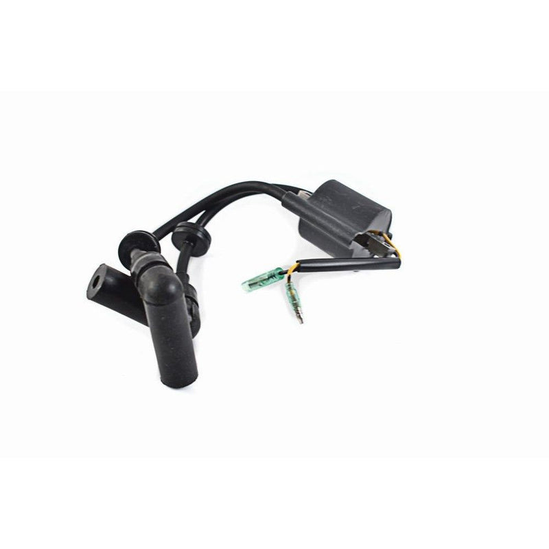 Load image into Gallery viewer, WSM Ignition Coil for Yamaha 9.9 - 15 Hp 4-Stroke 98-06 380-5105
