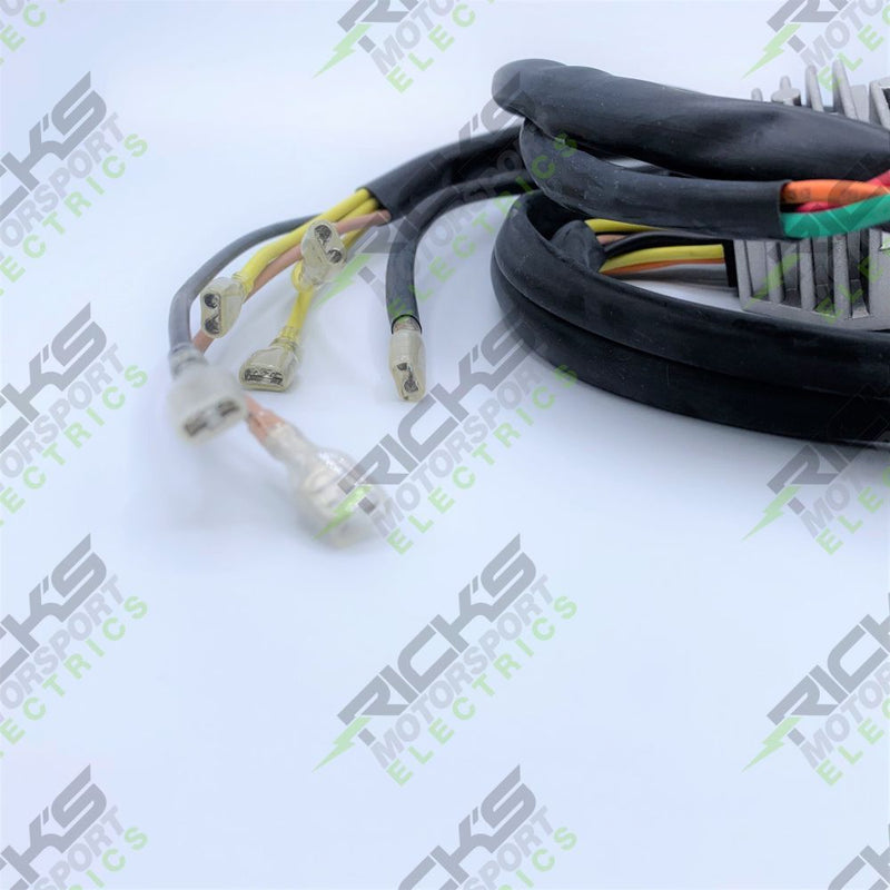 Load image into Gallery viewer, Ricks Rectifier-Regulator 10-0012