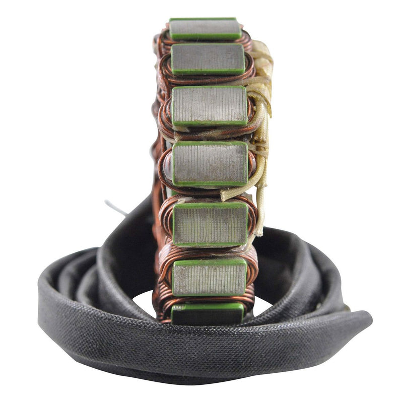 Load image into Gallery viewer, RMStator Stator RM01029