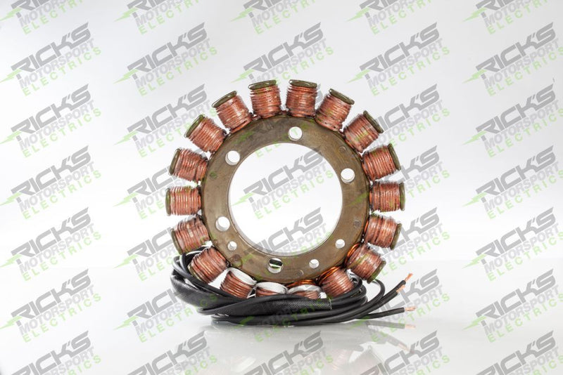Load image into Gallery viewer, Ricks Stator For Suzuki Vstrom 1000 DL1000 2002 21-319