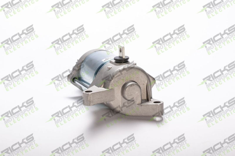 Load image into Gallery viewer, Ricks Starter Motor 61-413