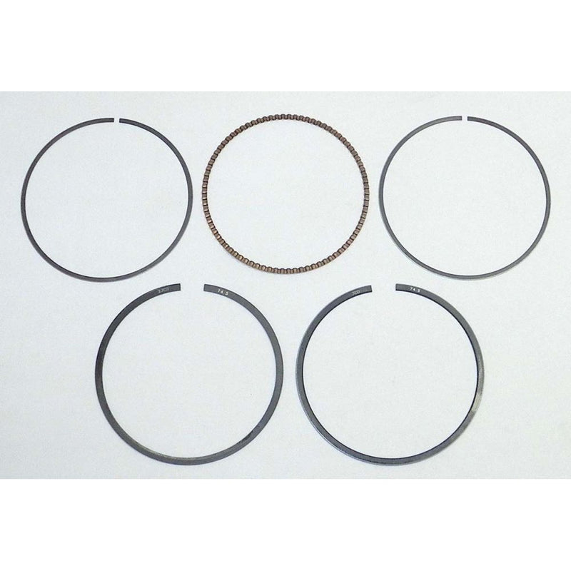 Load image into Gallery viewer, WSM Piston Ring Set .25mm Over - 010-964-04