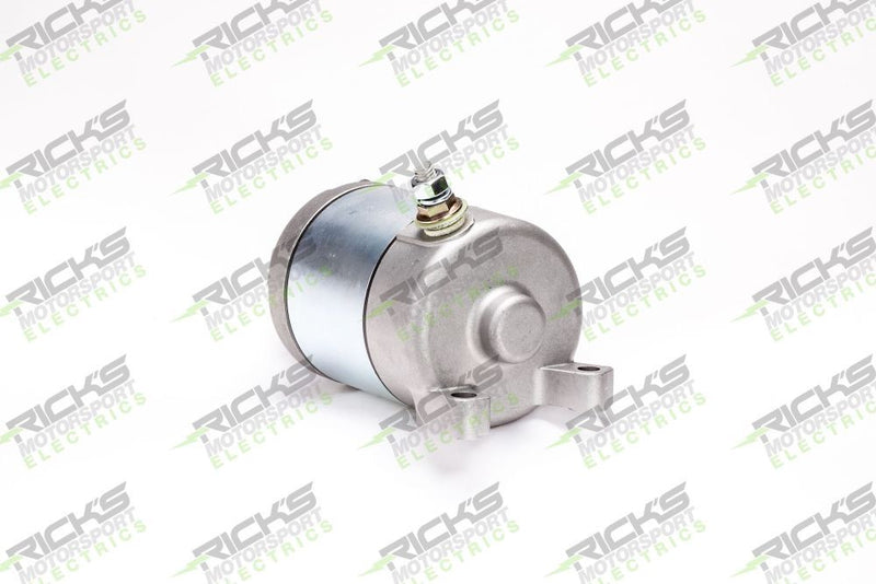Load image into Gallery viewer, Ricks Starter Motor 61-110