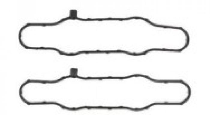 Load image into Gallery viewer, SPI Exhaust Valve Gasket Set SM-09539E