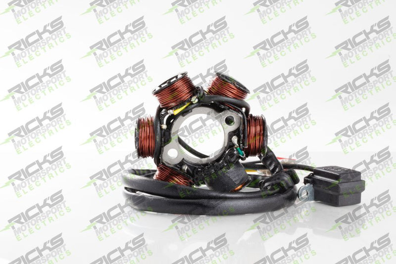 Load image into Gallery viewer, Ricks Stator 21-061