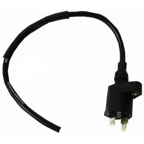 Load image into Gallery viewer, Ignition Coil for Honda TRX350TM Rancher S 2000-2006 Ricks