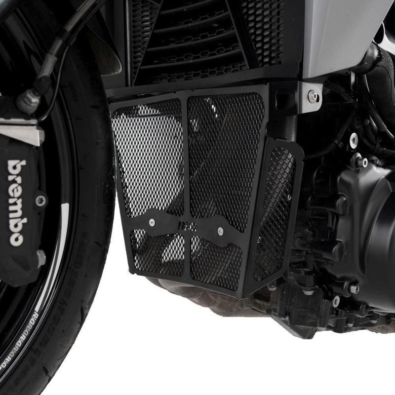 Load image into Gallery viewer, R&G Racing Dark Blue Downpipe Grill For 2020-2024 BMW F900R DG0042DKBLUE