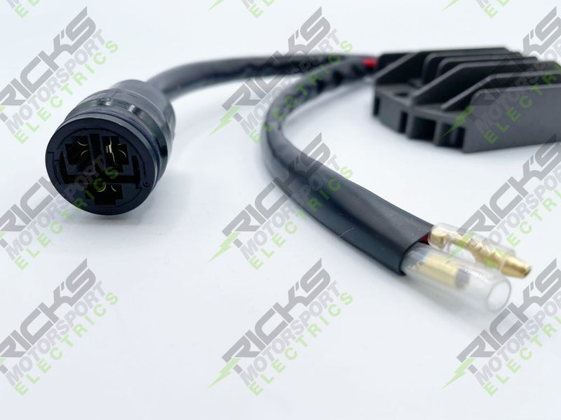 Load image into Gallery viewer, Ricks Rectifier-Regulator For Honda Sportrax 300 TRX300EX 2x4 1993-2004 10-180