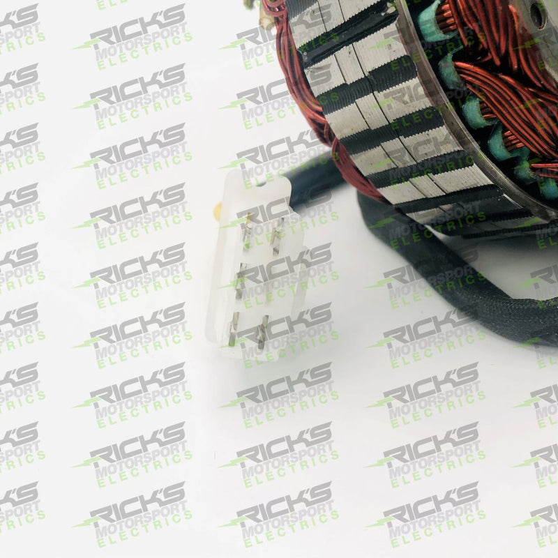 Load image into Gallery viewer, Ricks Stator 21-156